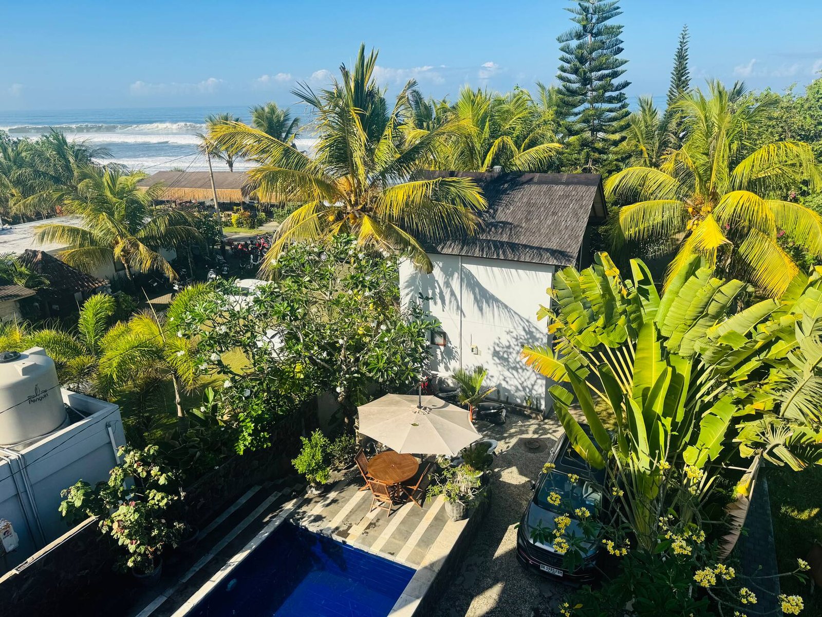 View from the Main House over the palms to the ocean