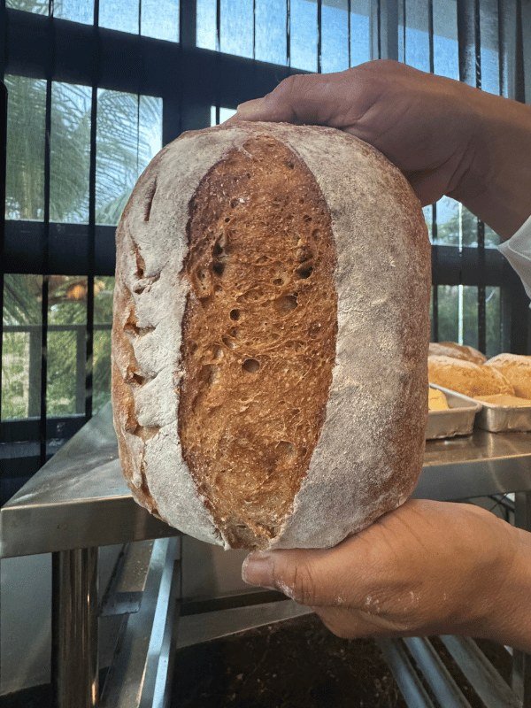 Hands holding a freshly baked, scored sourdough loaf